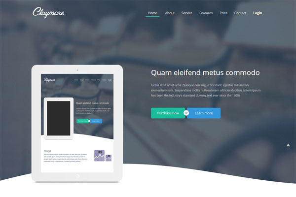 在线DDOS攻击平台